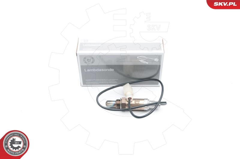 Oxygen Sensor